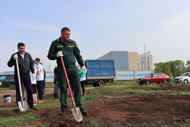 Глава Чистопольского района Дмитрий Иванов принял участие в акции «Сад памяти»