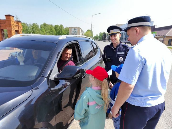 Воспитанники чистопольского детского сада подарили водителям и пешеходам бумажных голубей