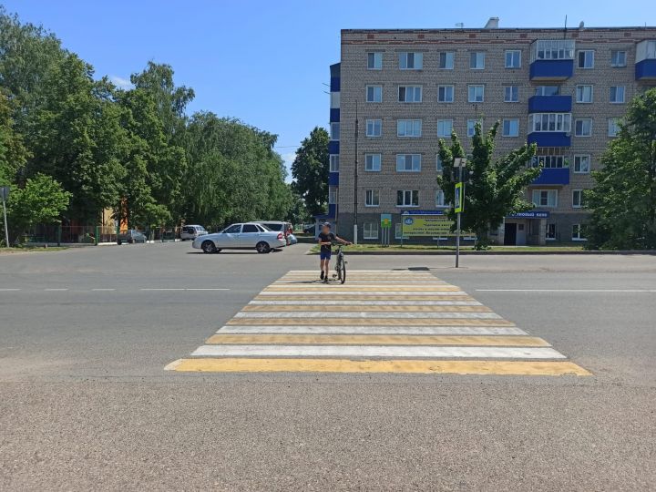 В Чистопольском районе стартовала операция «Пешеход»