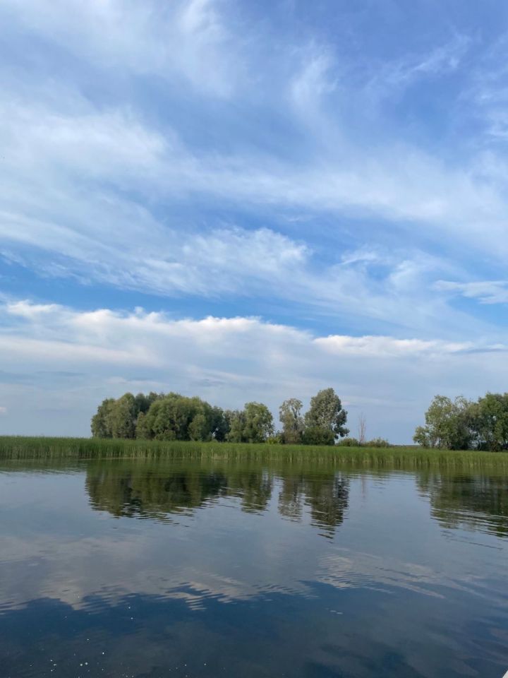 В озере Комсомольское в Дербышках утонул пенсионер