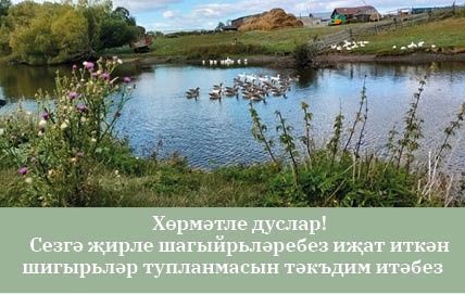 Хөрмәтле дуслар! Сезгә җирле шагыйрьләребез иҗат иткән шигырьләр тупланмасын тәкъдим итәбез