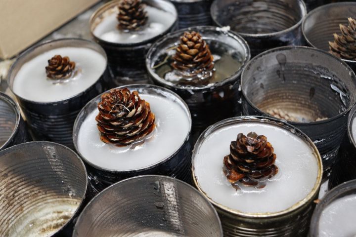 Чистопольские волонтеры начали изготавливать блиндажные свечи из сосновых и еловых шишек