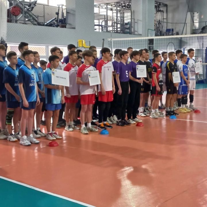 Чистопольские спортсмены заняли второе место в Первенстве РТ по волейболу