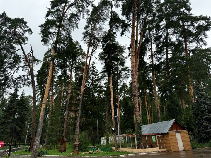 Капитальный ремонт в 15 детских лагерях Татарстана выполнен почти на 72%