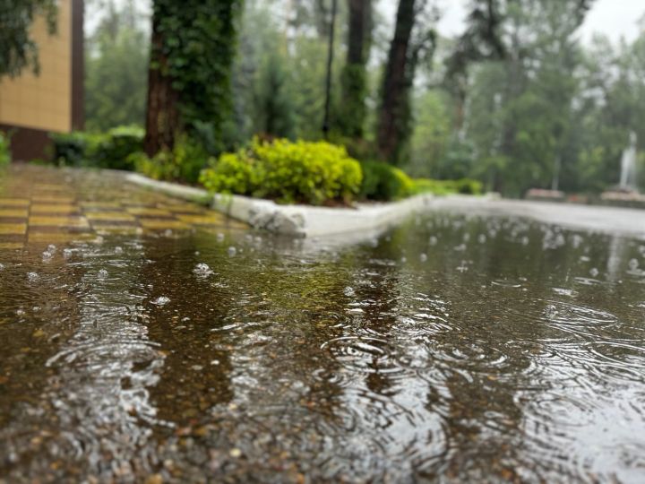 В Чистополе ожидается дождь