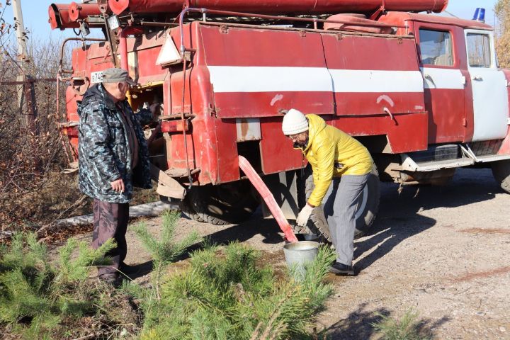 Чистайлылар «Урманны саклыйк» бөтенроссия акциясенә кушылдылар