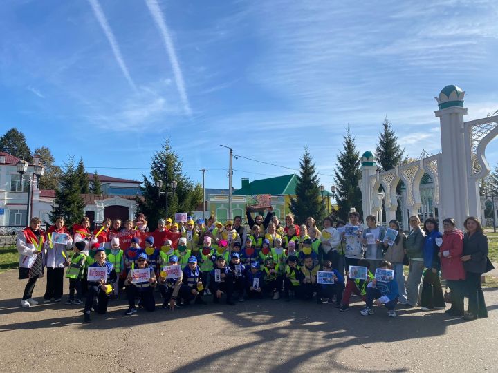 В Чистополе прошла акция «Пожилой пешеход»