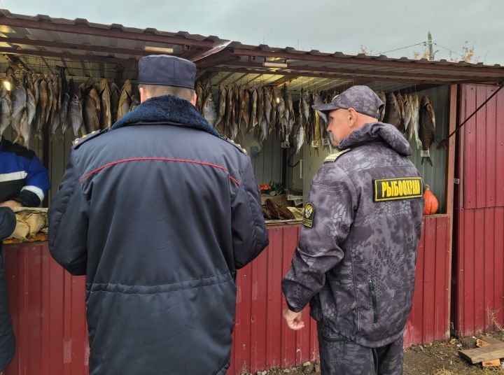 Чистай районында балык продукциясен сату нокталарының берсен тикшерделәр