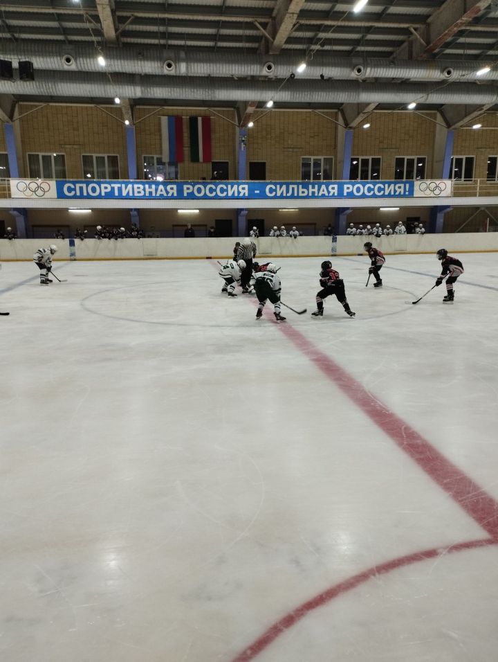 1:6: чистопольские хоккеисты одержали победу над казанской командой