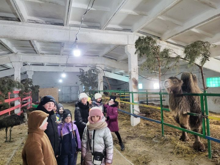 Для юных прихожан Троицкого храма организовали поездку в контактный зоопарк