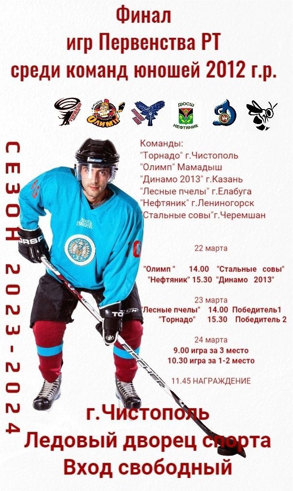 В Чистопольском Ледовом дворце пройдет финал игр Первенства РТ по хоккею