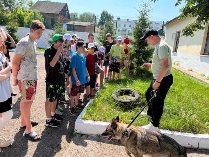 Чистопольских детей познакомили с работой кинолога