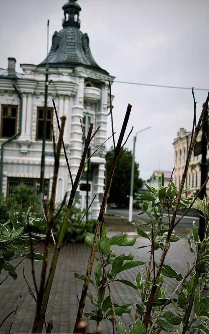 Дождь и до 22 градусов тепла ожидается в Чистополе