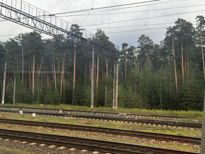 На Горьковской железной дороге стартовал месячник «Уступи дорогу поездам!»