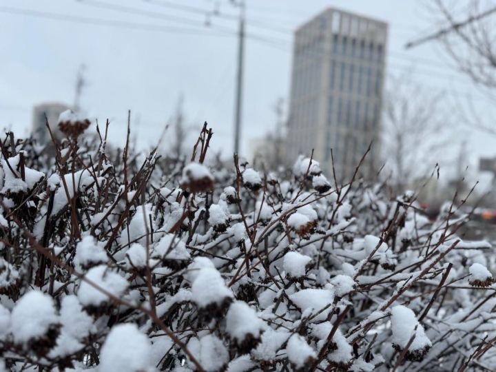 В Татарстане ожидается сильный ветер и снегопады