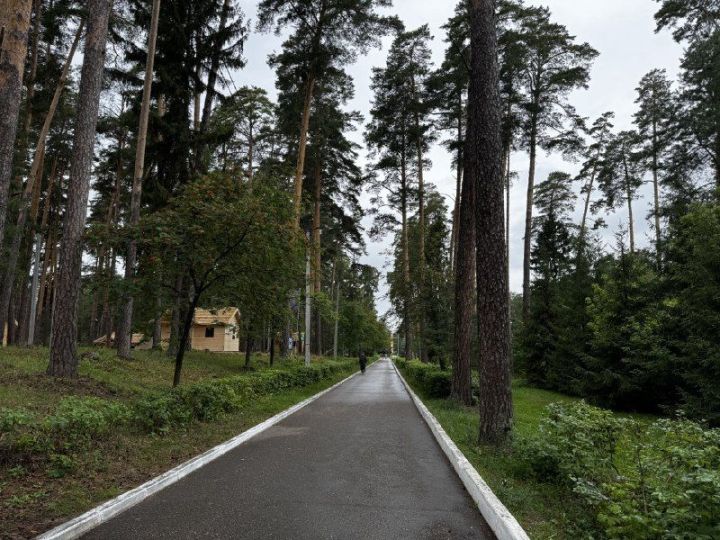 Бесплатное санаторно-курортное лечение в Татарстане: кому положены путёвки