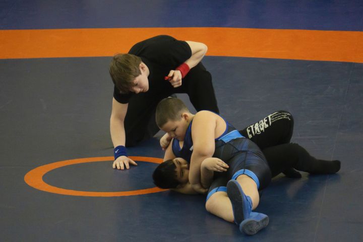 В Чистополе прошло Первенство по греко-римской борьбе на призы Деда Мороза