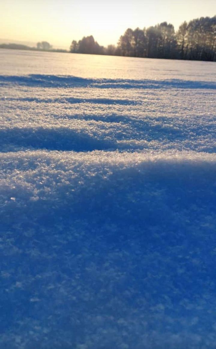 Какая погода ожидает чистопольцев сегодня