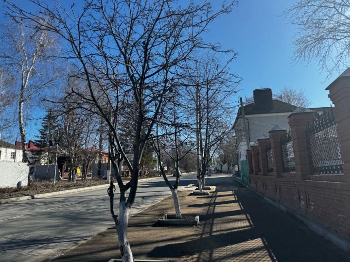 Теплая погода ожидает чистопольцев