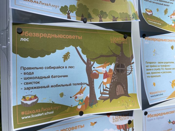 Добровольцы отряда «Лиза Алерт» напомнили чистопольцам, что делать при пропаже человека