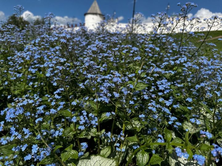 Чистополь готовится к солнечному дню: народные приметы обещают жаркое лето