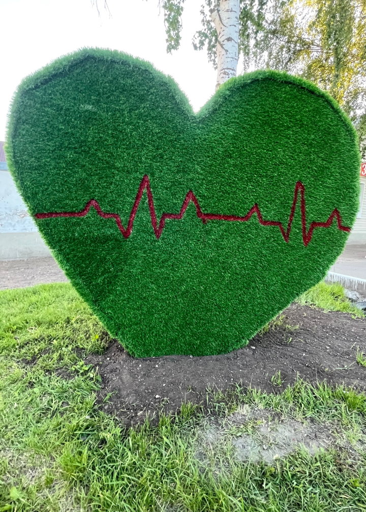 «Сердце из зелени»: водитель скорой помощи создал топиарий