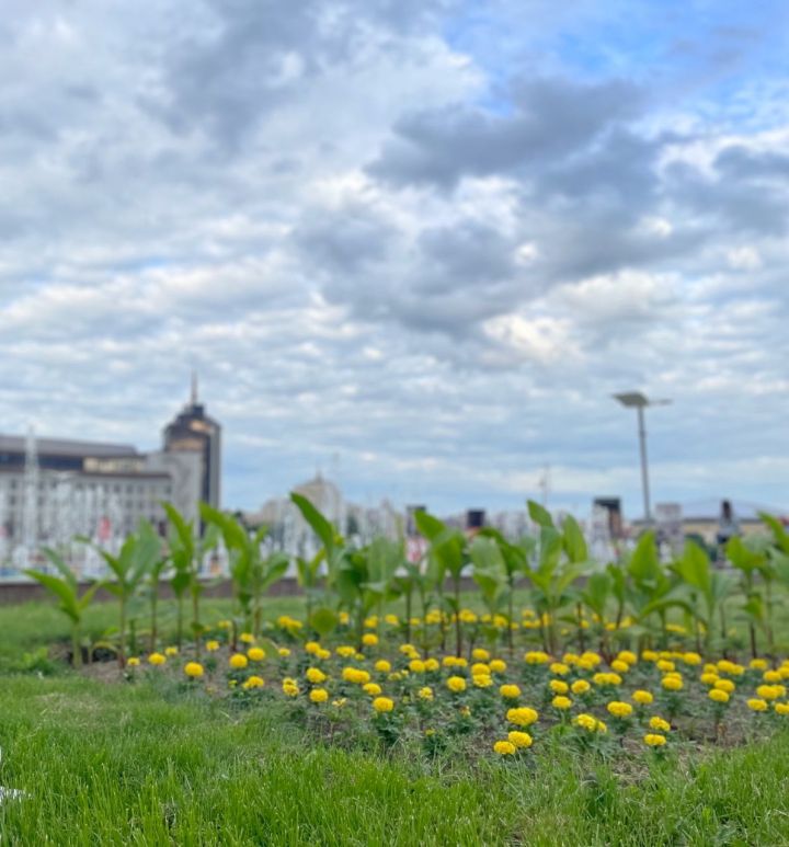 Штормовое предупреждение в Татарстане: столбики термометров поднимутся до 34 градусов тепла