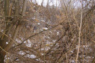 Чистопольский краевед Сергей Кронберг рассказал о проблемах экологии, которые его волнуют