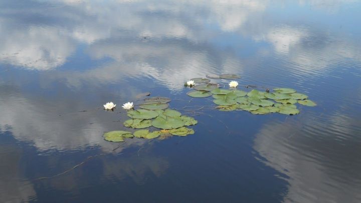 Сплав по реке Прость стал одним из любимых видов отдыха чистопольцев