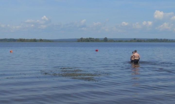 Битое стекло, «водяная чума» и шум: как сделать лучше чистопольский пляж?
