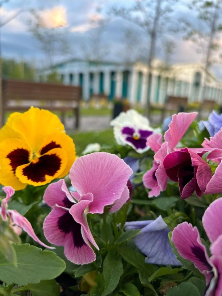 До 25 градусов тепла ожидается в Чистополе