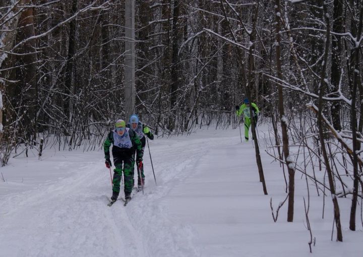 «Беспредельщик» и мудрый Азат: что мешает Пристанскому лесу стать удобным для всех