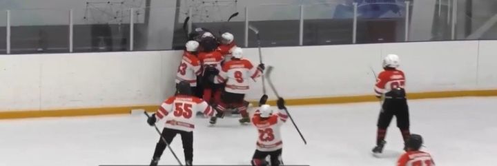 Чистопольские «Черные Пантеры» обыграли казанский «Ак Барс Динамо» в Первенстве РТ по хоккею