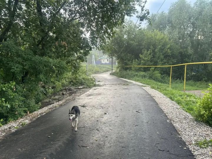 В Чистополе продолжают устранять последствия стихии