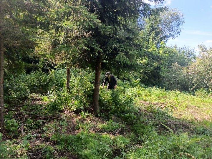 В Чистопольском районе сельчане провели субботник на территории будущего сквера